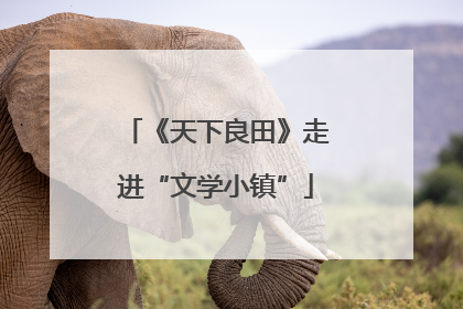 《天下良田》走进“文学小镇”