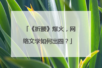 《折腰》爆火，网络文学如何出圈？