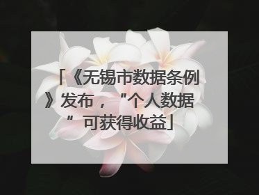《无锡市数据条例》发布，“个人数据”可获得收益