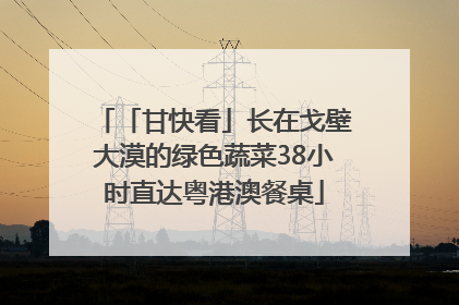 「甘快看」长在戈壁大漠的绿色蔬菜38小时直达粤港澳餐桌