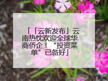 「云新发布」云南热忱欢迎全球华商侨企！“投资菜单”已备好