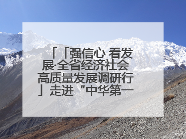 「强信心 看发展·全省经济社会高质量发展调研行」走进“中华第一庙” 寻根伏羲 祭祖龙城