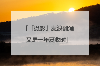 「摄影」麦浪翻涌 又是一年夏收时