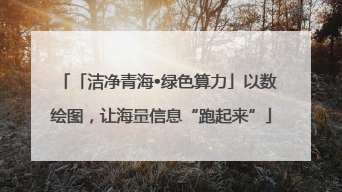 「洁净青海•绿色算力」以数绘图，让海量信息“跑起来”