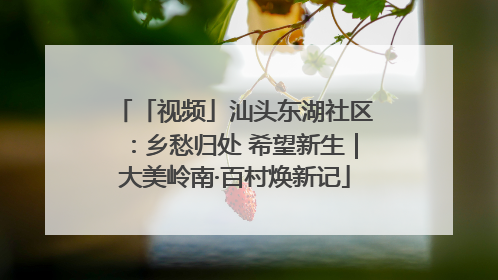 「视频」汕头东湖社区：乡愁归处 希望新生｜大美岭南·百村焕新记
