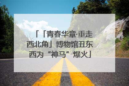 「青春华章·重走西北角」博物馆丑东西为“神马”爆火