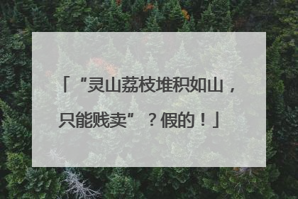 “灵山荔枝堆积如山，只能贱卖”？假的！