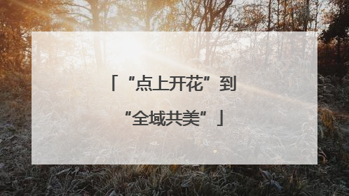 “点上开花”到“全域共美”