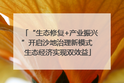 “生态修复+产业振兴”开启沙地治理新模式 生态经济实现双效益