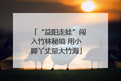 “益阳走娃”闯入竹林秘境 用小脚丫丈量大竹海