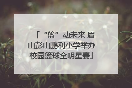 “篮”动未来 眉山彭山鹏利小学举办校园篮球全明星赛