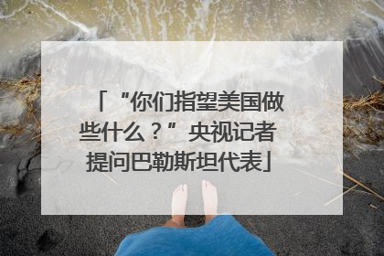 “你们指望美国做些什么？”央视记者提问巴勒斯坦代表
