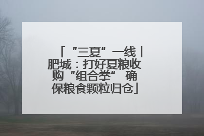 “三夏”一线丨肥城：打好夏粮收购“组合拳” 确保粮食颗粒归仓