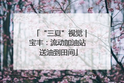 “三夏”视觉｜宝丰：流动加油站 送油到田间