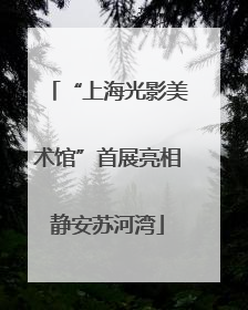 “上海光影美术馆”首展亮相静安苏河湾
