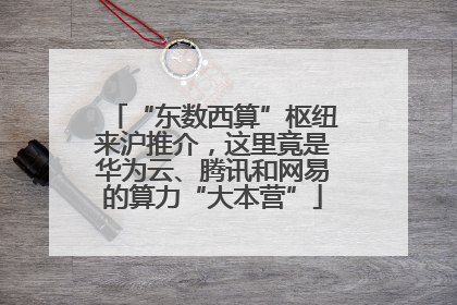 “东数西算”枢纽来沪推介，这里竟是华为云、腾讯和网易的算力“大本营”