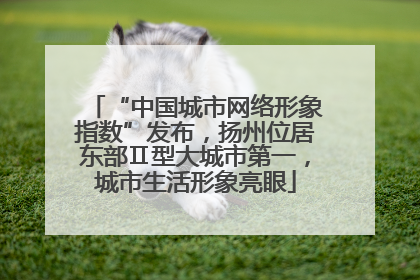 “中国城市网络形象指数”发布，扬州位居东部Ⅱ型大城市第一，城市生活形象亮眼