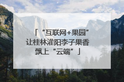 “互联网+果园”让桂林灌阳李子果香飘上“云端”