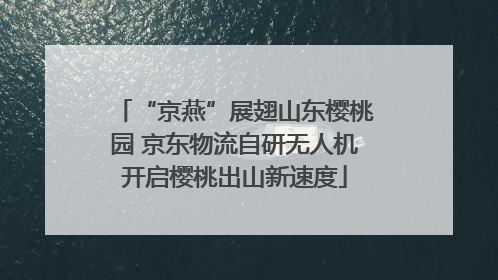 “京燕”展翅山东樱桃园 京东物流自研无人机开启樱桃出山新速度