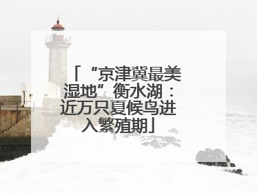 “京津冀最美湿地”衡水湖：近万只夏候鸟进入繁殖期