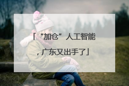 “加仓”人工智能，广东又出手了