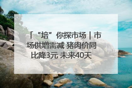 “培”你探市场｜市场供增需减 猪肉价同比降3元 未来40天便宜猪肉敞开吃