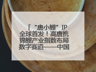 “唐小鲤”IP全球首发！高唐携锦鲤产业指数布局数字赛道——中国高唐锦鲤产业指数暨“唐小鲤”IP全球首发仪式在杭州举行