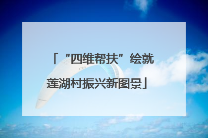 “四维帮扶”绘就莲湖村振兴新图景