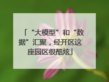 “大模型”和“数据”汇聚，经开区这座园区很酷炫