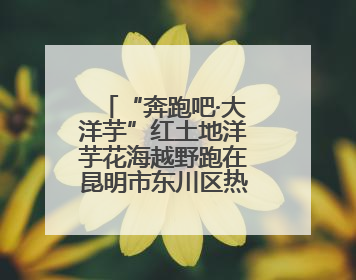 “奔跑吧·大洋芋”红土地洋芋花海越野跑在昆明市东川区热力开跑
