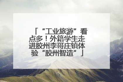 “工业旅游”看点多！外籍学生走进胶州李哥庄镇体验“胶州智造”