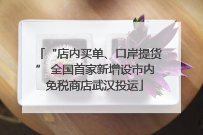“店内买单、口岸提货” 全国首家新增设市内免税商店武汉投运