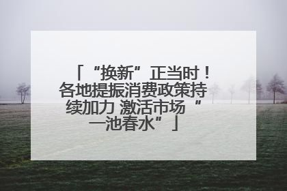 “换新”正当时！各地提振消费政策持续加力 激活市场“一池春水”