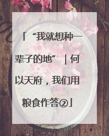 “我就想种一辈子的地”｜何以天府，我们用粮食作答②
