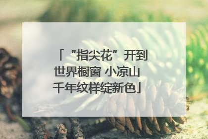“指尖花”开到世界橱窗 小凉山千年纹样绽新色