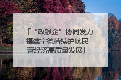 “政银企”协同发力 福建宁德持续护航民营经济高质量发展