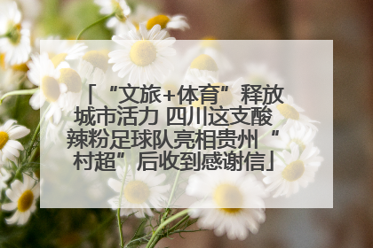 “文旅+体育”释放城市活力 四川这支酸辣粉足球队亮相贵州“村超”后收到感谢信