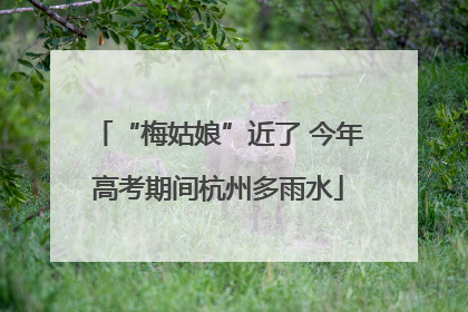 “梅姑娘”近了 今年高考期间杭州多雨水