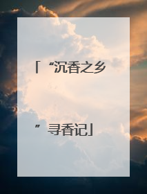 “沉香之乡”寻香记