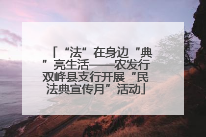 “法”在身边“典”亮生活——农发行双峰县支行开展“民法典宣传月”活动