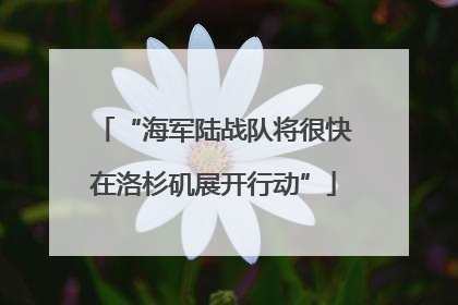 “海军陆战队将很快在洛杉矶展开行动”