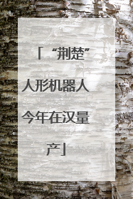 “荆楚”人形机器人今年在汉量产