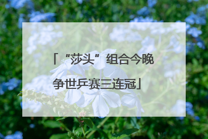 “莎头”组合今晚争世乒赛三连冠