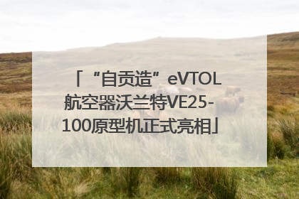 “自贡造”eVTOL航空器沃兰特VE25-100原型机正式亮相
