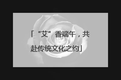 “艾”香端午，共赴传统文化之约