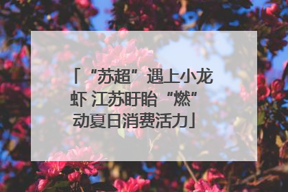 “苏超”遇上小龙虾 江苏盱眙“燃”动夏日消费活力