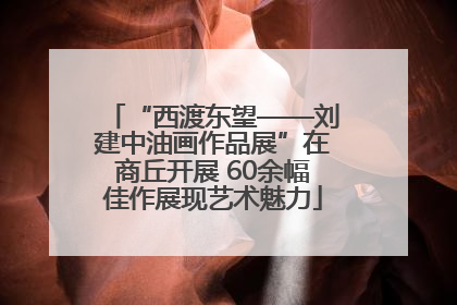 “西渡东望——刘建中油画作品展”在商丘开展 60余幅佳作展现艺术魅力