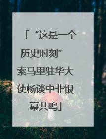 “这是一个历史时刻” 索马里驻华大使畅谈中非银幕共鸣