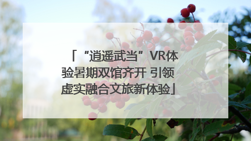 “逍遥武当”VR体验暑期双馆齐开 引领虚实融合文旅新体验