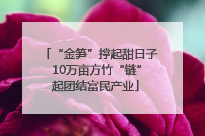 “金笋”撑起甜日子 10万亩方竹“链”起团结富民产业